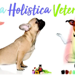 Curso Completo de Terapia Holística Veterinária